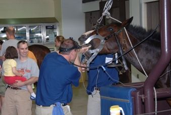 Delmarva Equine Dentistry, Chase City, VA. 75 likes · 3 talking about this · 1 were   here.