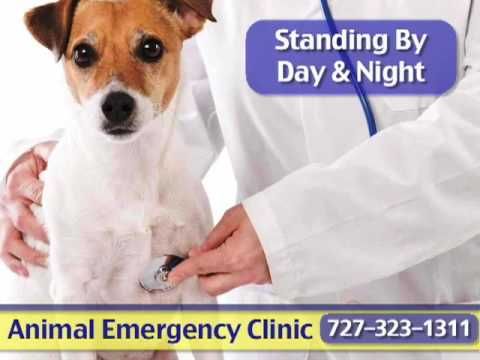 Get the phone number, directions, reviews, photos and more for Late Night   Dental Emergency Walk In Clinic at 102-49 Hillcrest Ave. in Brampton, ON on   411.ca, 