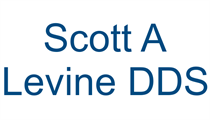 Scott A Levine DDS