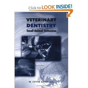 In addition to providing regular dental checks for their pets, pet owners can take   steps at home to ensure good oral health: Feed a specially formulated pet food 