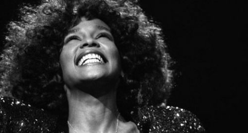 5 Apr 2012  Whitney Houston was standing outside her hotel bathtub when  with a dental   prosthesis supported by dental implants, the report said.