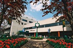 Category: Offices and Clinics of Dentists, Dental Clinics and Offices in Staten   Island, NY. Offers: , Dental. View Staten Island University Hospital company 