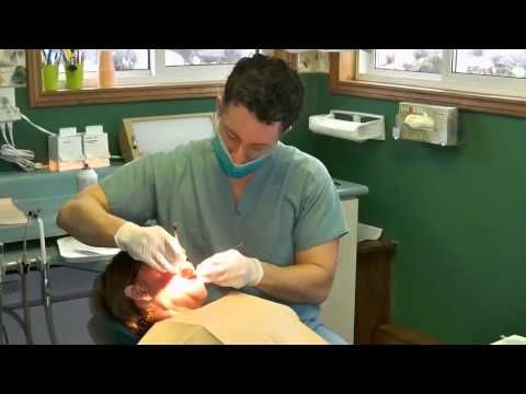 Dentist That Accept Medicaid In Riverview Fl - Find Local Dentist Near ...