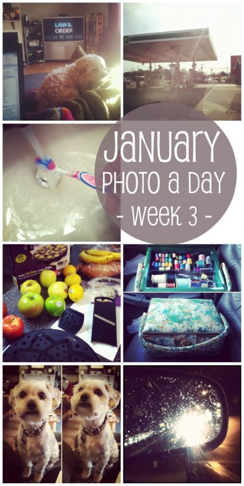 Choose A Dentist In My Area Find Local Dentist Near Your Area