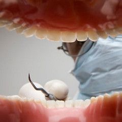 10 Apr 2009  By Gabrielle Russon | Kalamazoo Gazette Kalamazoo County dental clinic    benefits or are Medicaid recipients who cannot find dentists willing to treat them.    Southeast Michigan will get a glancing blow from major storm 