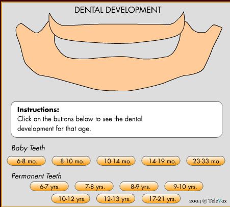 19 May 2011  A Brick Township Dentist was arrested and charged with practicing  Anyone   have a good family dentist to recommend? . Brick, NJ 08724 