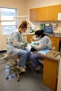 UNF Career Services  Dentists maintain their clients' teeth through preventive   and reparative practices as extracting, filling,  Office Hours: 8 a.m.-5 p.m. 