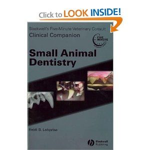 The Veterinary Dental Forum strives to provide the best veterinary dental   program in the world with the finest lectures and labs from the top experts in the 