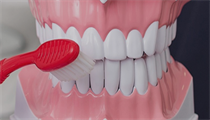 Blankenship Dental
